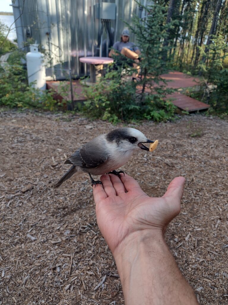 IMG 20220815 193443350i 768x1024